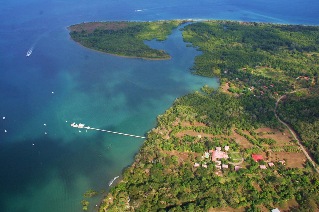 Puerto Jiménez Crocodile Bay Resort المظهر الخارجي الصورة